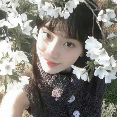 石普卡的英雄